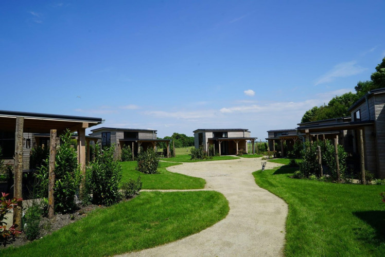 Tiny wooden houses at Kagerplassen, Netherlands, surrounded by green lawns and clear blue sky.