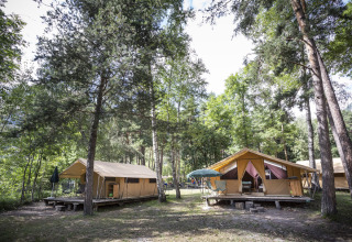 Glamping tenten midden in het bos op Huttopia Bourg Saint-Maurice, een vakantiepark in Auvergne-Rhône-Alpes, Frankrijk.