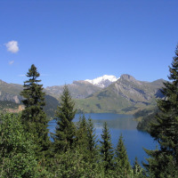 Vista panorámica de Bourg-Saint-Maurice con pinos, lago y montañas en Auvergne-Rhône-Alpes, Francia.
