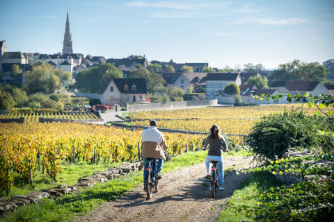 Dos personas montan en bicicleta entre viñedos hacia un pueblo en Borgoña, Francia, en un día soleado.
