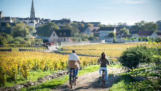 Dos personas montan en bicicleta entre viñedos hacia un pueblo en Borgoña, Francia, en un día soleado.
