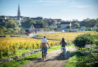 Twee personen fietsen langs wijngaarden richting een dorp in Bourgondië, Frankrijk, op een zonnige dag.