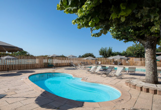 Swimmingpool med liggestole og parasoller i fredelig feriepark, omgivet af træer og hegn, under blå himmel.