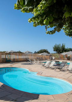 Piscina con tumbonas y sombrillas en parque vacacional tranquilo, rodeada de árboles y una valla de madera.