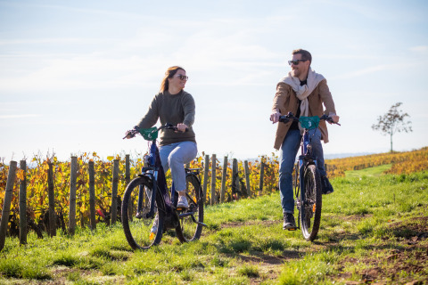 Dos personas pasean en bicicleta por viñedos soleados en Huttopia Meursault, Bourgogne-Franche-Comté, Francia.
