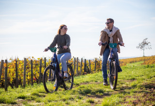 To personer cykler i solskin gennem vinmarker ved Huttopia Meursault, Bourgogne-Franche-Comté, Frankrig.