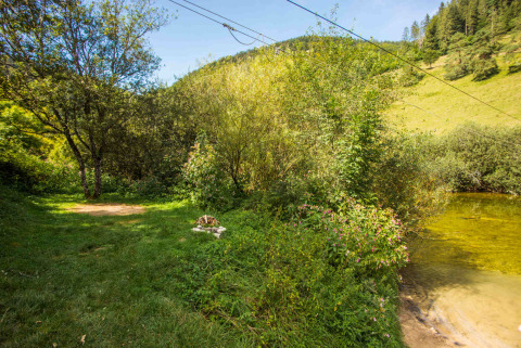 Vista pintoresca de un campo verde junto a un arroyo en un parque vacacional con glamping disponible.