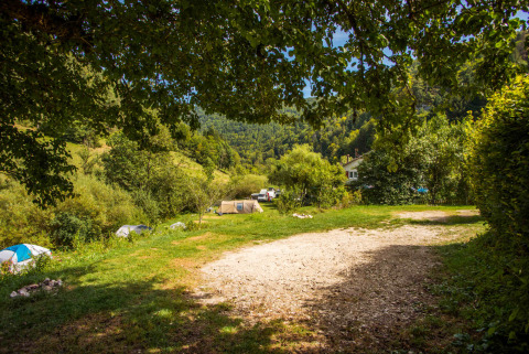 Vakantiepark met glamping tenten verspreid in het groen, omringd door bomen en een heuvelachtig landschap.