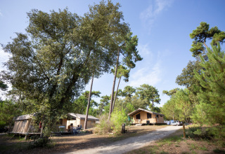 Twee houten vakantiewoningen tussen bomen bij Huttopia Oléron Les Chênes Verts in Nouvelle-Aquitaine, Frankrijk.