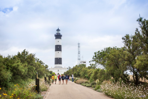 Un grupo de personas camina por un sendero rodeado de flores y árboles hacia un faro en Francia.
