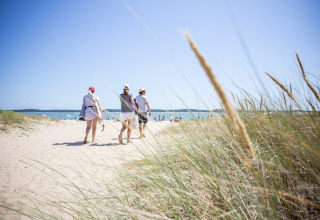 Trois personnes marchent à travers les dunes vers la plage à Huttopia Oléron Les Chênes Verts, parc de vacances en France.