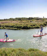 Menschen paddeln auf SUP-Boards einen Fluss entlang bei Dolus d’Oléron in Nouvelle-Aquitaine, Frankreich.