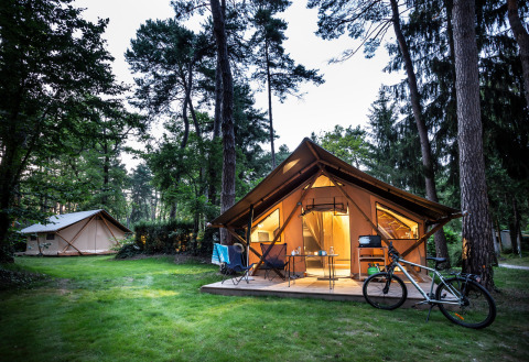 Verlichte tent en fiets bij Camping La Pinède - Excenevex op een bosrijk vakantiepark in Auvergne-Rhône-Alpes.
