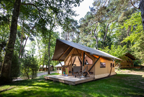 Grandes tiendas tipo lodge entre árboles en Camping La Pinède - Excenevex, parque vacacional en Auvergne-Rhône-Alpes.