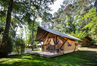 Large canvas lodges set among trees at Camping La Pinède - Excenevex holiday park in Auvergne-Rhône-Alpes, France.