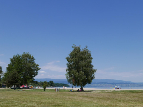 Césped y árboles frente a la playa en Camping La Pinède - Excenevex, parque vacacional en Francia.