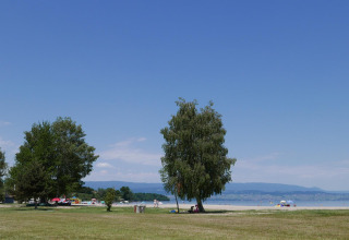 Grasfläche mit Bäumen am Seeufer im Camping La Pinède, Excenevex, Ferienpark in Auvergne-Rhône-Alpes.
