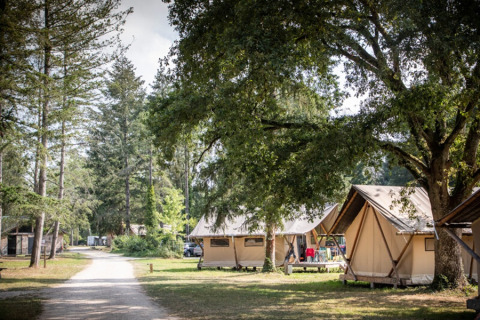 Tiendas de campaña rodeadas de árboles en Huttopia Les Châteaux en Centre-Val de Loire, Francia.