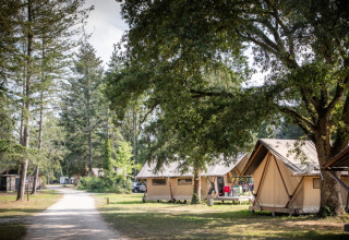 Telt i naturskønne omgivelser ved Huttopia Les Châteaux feriepark i Centre-Val de Loire, Frankrig.
