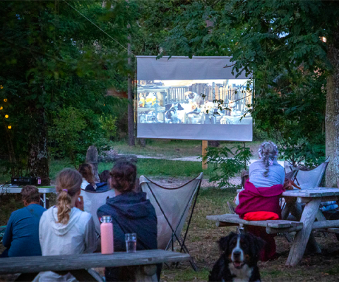 Noche de cine al aire libre con familias y perro en Huttopia Les Châteaux, Centro-Val de Loire, Francia.