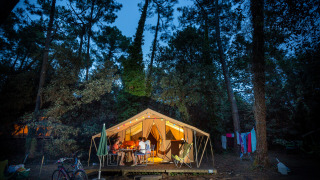 Billedet viser en Bungalow tent Classic safari-teltcampingplads om aftenen omgivet af høje træer.