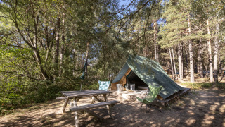 Tienda tipi Bonaventure en un bosque, con mesa de picnic y sillas de camping bajo la luz del día.
