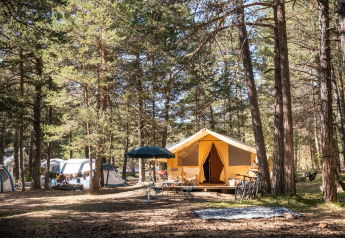 Safari telt Bungalow tent Classic i skoven, omgivet af træer, campingtelte og cykler, under solbeskinnet himmel.