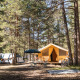 Safari telt Bungalow tent Classic i skoven, omgivet af træer, campingtelte og cykler, under solbeskinnet himmel.