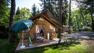 Tienda safari en un camping forestal con terraza de madera, sillas de camping, sombrilla y bicicleta.