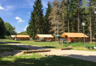 Safari bungalow telte ved Huttopia Les Châteaux, Frankrig, omgivet af natur og høje træer på en solrig dag.