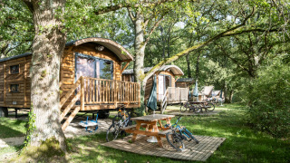Cabañas Roulotte en un bosque con bicicletas, mesa de picnic y entorno verde y frondoso en verano.