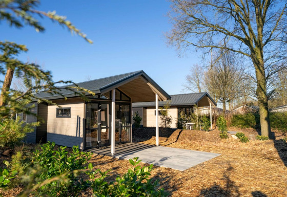 Moderne Tiny House 4 lodge i skovområde med store vinduer, terrasse og naturlig have under blå himmel.
