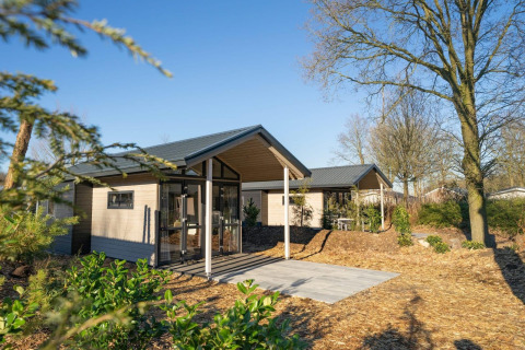 Moderne Tiny House 4 lodge met glazen schuifdeuren, overdekt terras en omringd door bomen en struiken.