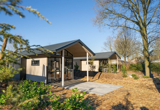 Tiny House 4 lodge, modern met glazen deuren, overdekt terras en omgeven door bomen en natuur.