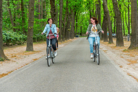 Zwei Frauen und ein Kind fahren auf Fahrrädern durch einen grünen Wald bei einer Glamping-Unterkunft.