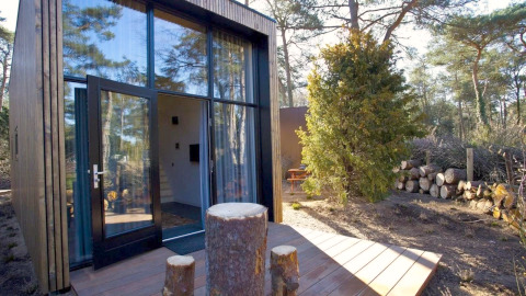 Moderne tiny house bij De Zanding in Nederland met grote glazen ramen en houten terras in bosrijke omgeving.