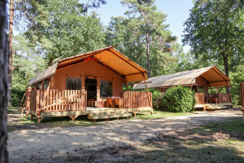 Dos tiendas safari tipo lodge con terraza de madera en un bosque verde, perfectas para escapadas al aire libre.