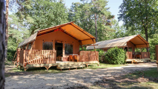 Dos tiendas safari tipo lodge con terraza de madera en un bosque verde, perfectas para escapadas al aire libre.
