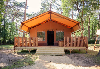 Safari-Zelt Lodgetent bei De Zanding in den Niederlanden, umgeben von Bäumen mit Veranda.