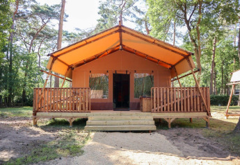 Safari telt Lodgetent ved De Zanding i Holland, omgivet af træer og med en overdækket veranda.
