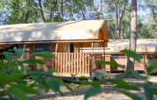 Safari-Zelt Lodgetent bei De Zanding in den Niederlanden, umgeben von Wald und Natur.