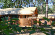 Tienda safari Lodgetent en De Zanding, Países Bajos, rodeada de árboles y naturaleza soleada.