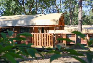 Tienda safari Lodgetent en De Zanding, Países Bajos, rodeada de árboles y naturaleza soleada.