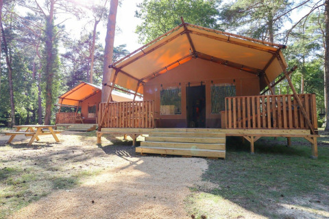 Safari tents with wooden porches and a picnic table at De Zanding, Netherlands, surrounded by trees.