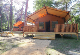 Tentes safari avec véranda en bois et table de pique-nique à De Zanding, Pays-Bas, en pleine forêt.