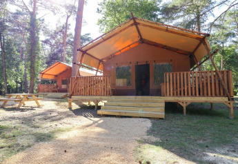 Tentes safari avec véranda en bois et table de pique-nique à De Zanding, Pays-Bas, en pleine forêt.