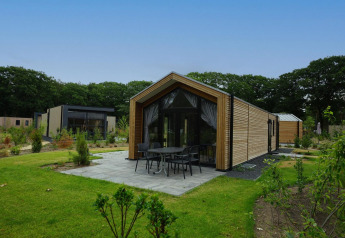 Moderna Forest Lodge con revestimiento de madera y terraza, rodeada de vegetación verde y frondosa.