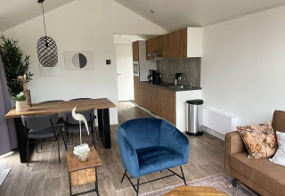 Modernes Wohnzimmer und Küche in der Forest Lodge bei De Zanding, Niederlande, mit stilvollen Möbeln.