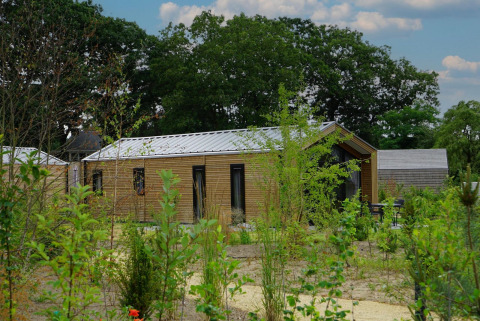 El Forest Lodge en De Zanding, Países Bajos, rodeado de vegetación y naturaleza verde exuberante.