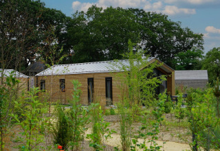 Forest Lodge presso De Zanding nei Paesi Bassi, circondato da alberi e vegetazione rigogliosa.